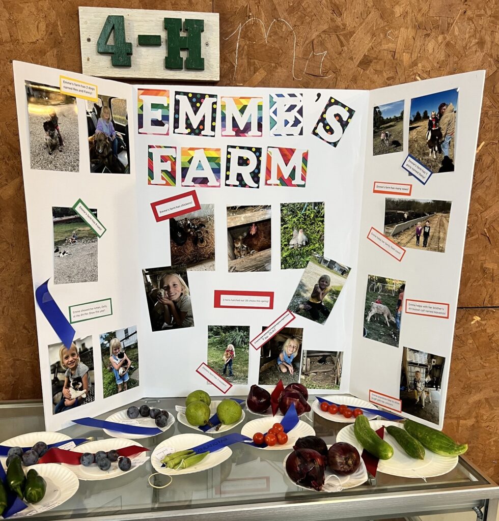 A 4-H display shows details about a farm.